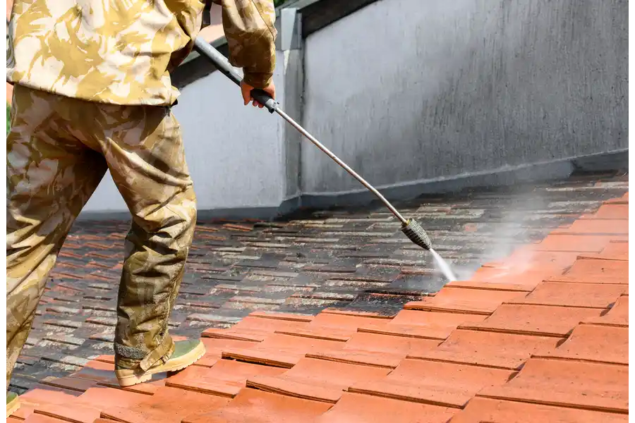 How Do You Clean Moss off a Roof in Hayward, CA
